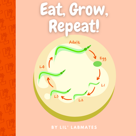 Board Book: Eat. Grow. Repeat!