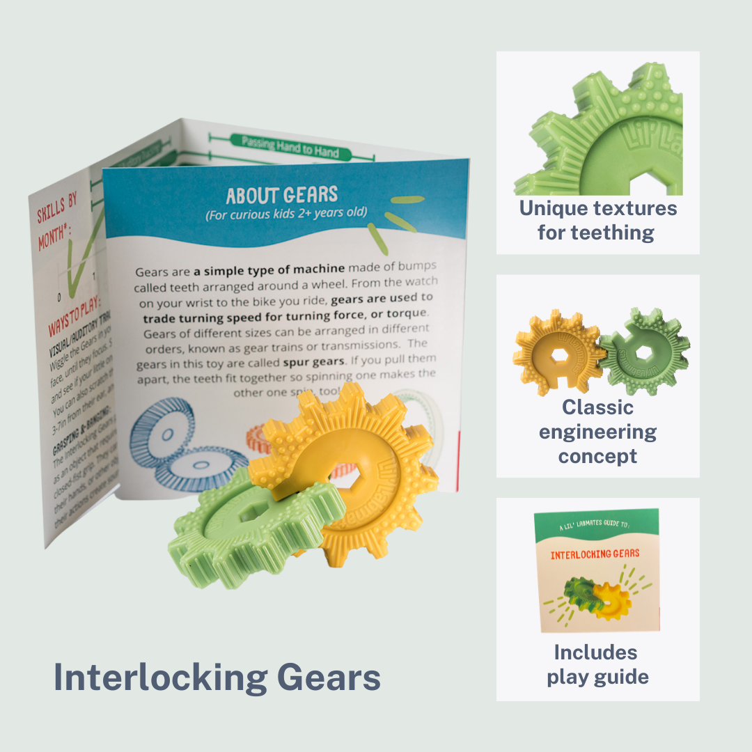 Bundle: Interlocking Gears and Lil' Scientist Board Book