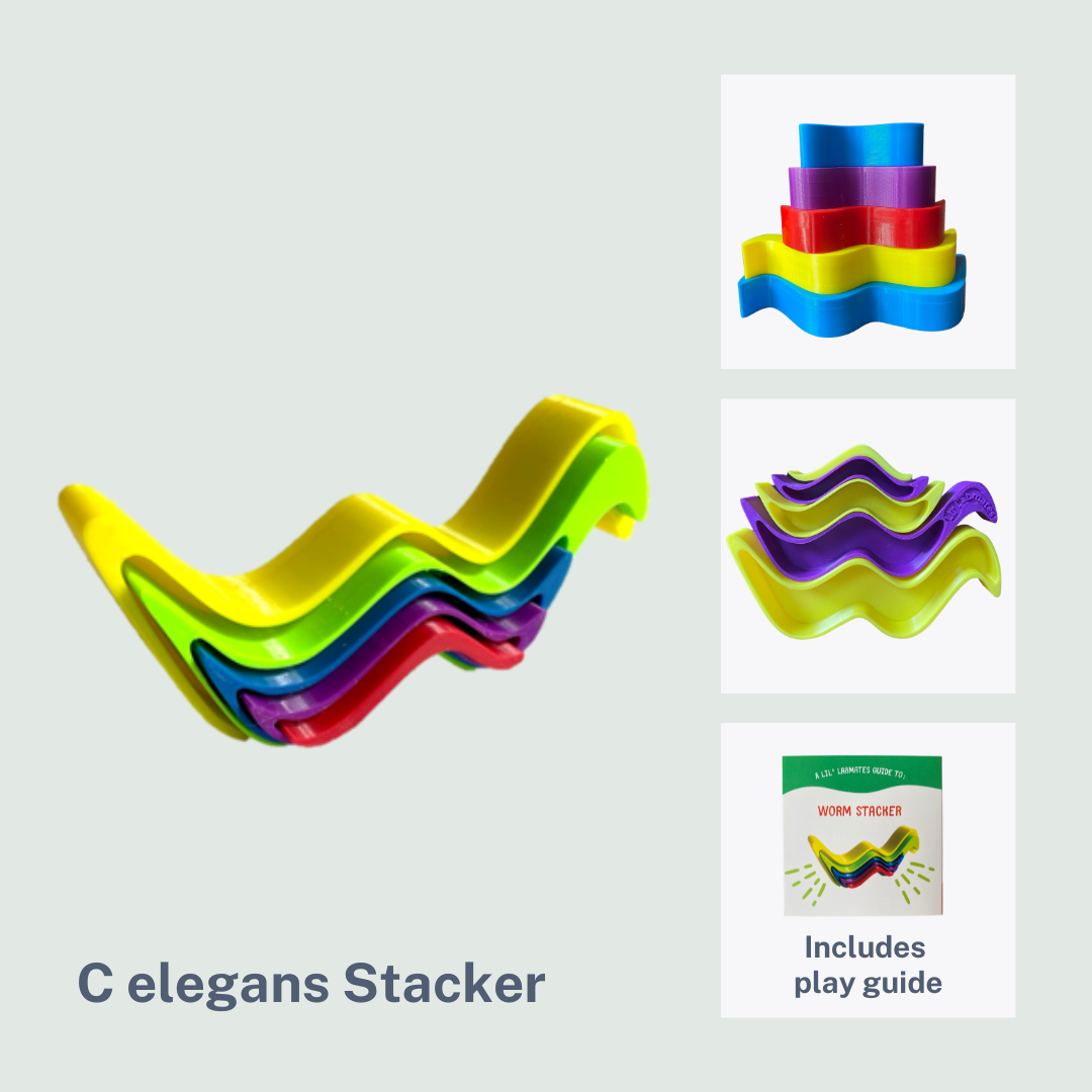 C elegans Stacker